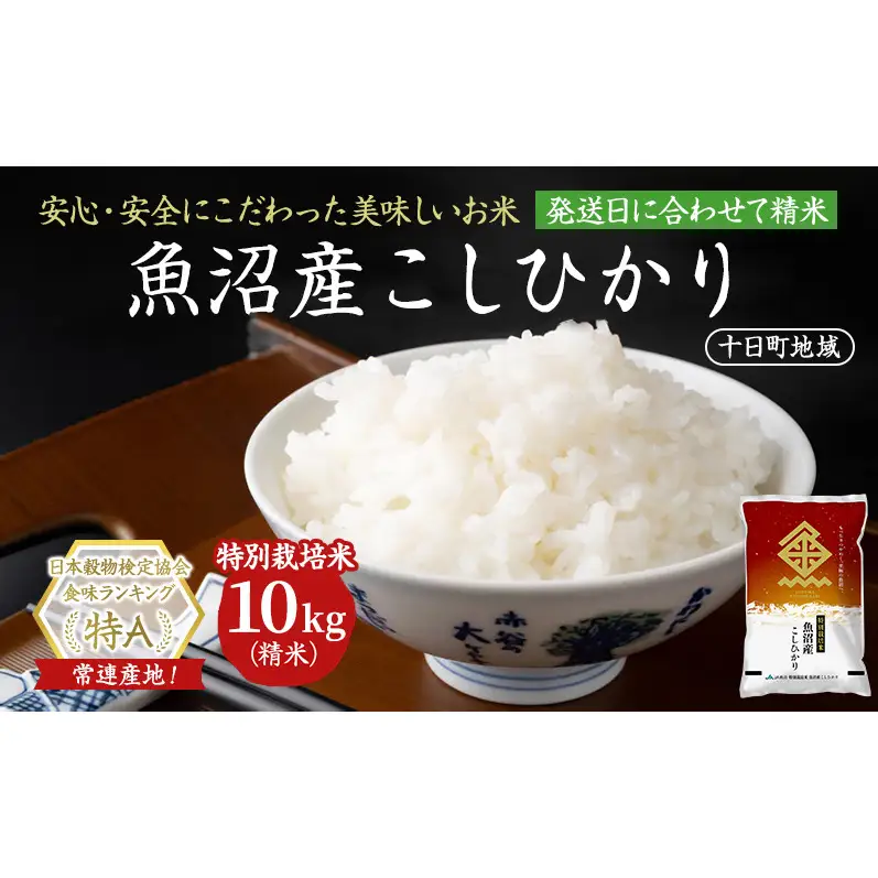 【令和8年産 先行予約】特別栽培米 魚沼産こしひかり(十日町地域) 精米 10kg(5kg×2) 米 お米 コシヒカリ 十日町市