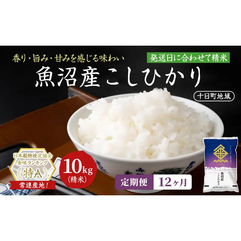 【令和8年産 先行予約】【12ヶ月定期便】魚沼産こしひかり(十日町地域) 精米 10kg(5kg×2) 米 お米 コシヒカリ 定期