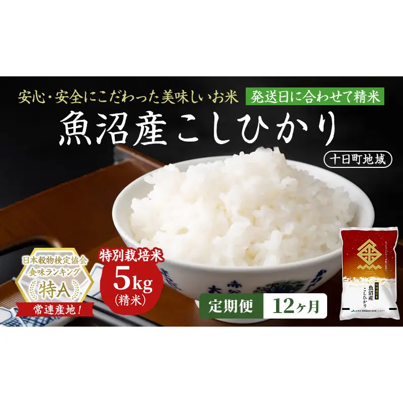 【令和8年産 先行予約】【12ヶ月定期便】特別栽培米 魚沼産こしひかり(十日町地域) 精米 5kg 米 お米 コシヒカリ 定期 十日町市