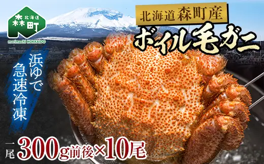 【訳あり】北海道・噴火湾産冷凍ボイル毛ガニ約300g前後×10尾  mr1-1435