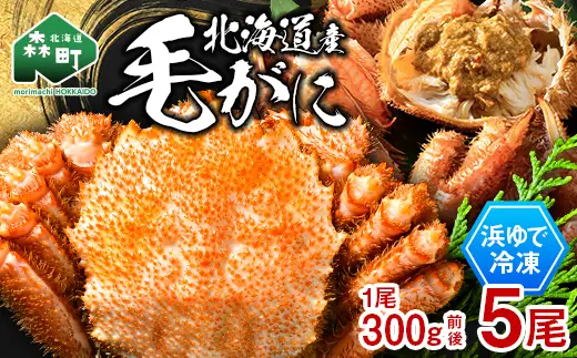 北海道産 冷凍ボイル毛ガニ 300g前後×5尾  mr1-1437