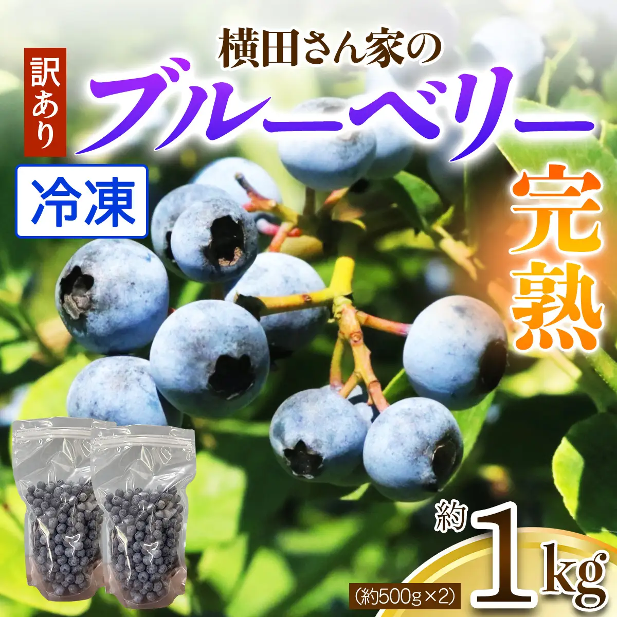 【訳あり】横田さん家の冷凍完熟ブルーベリー約1kg (約500g×2) [2331]