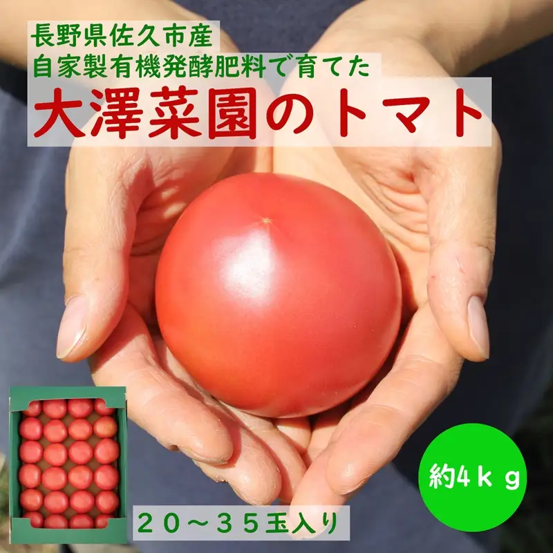 2026年8月・9月出荷】信州 佐久市産 完熟トマト 約3.5kg（北海道・沖縄