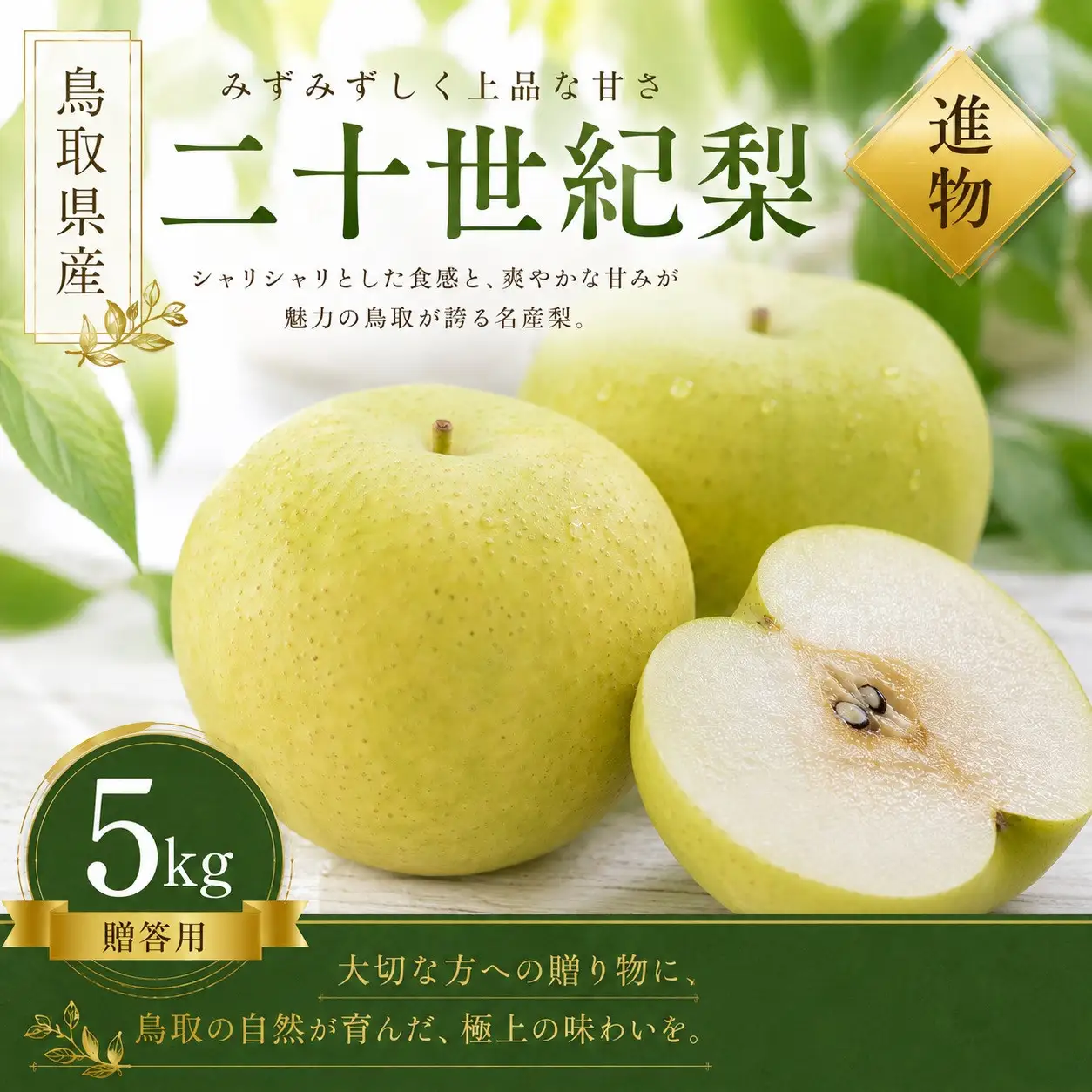 きしだ農園 二十世紀梨 進物5kg 【鳥取県 境港市】