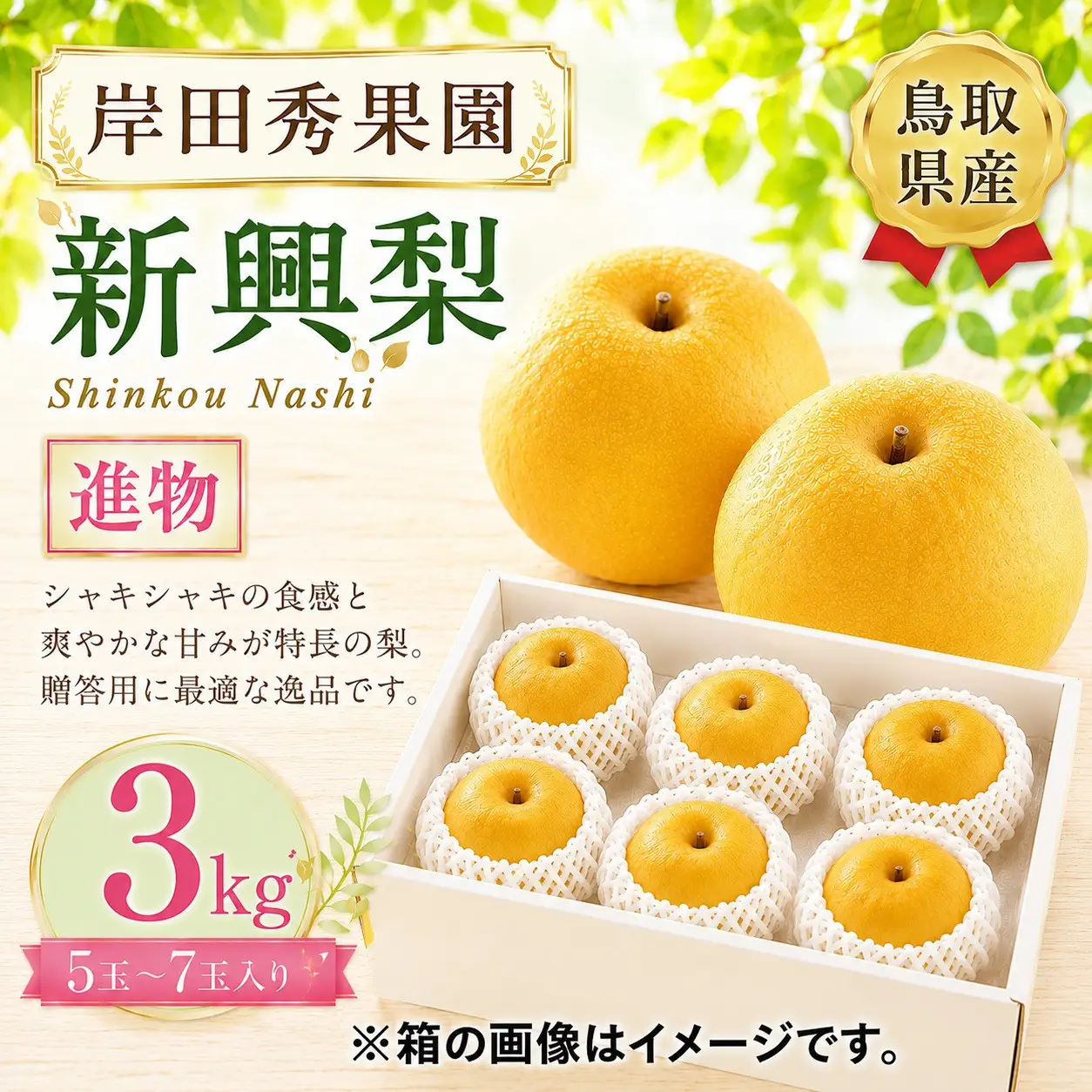 岸田秀果園 新興梨 進物用3kg 【鳥取県 境港市】