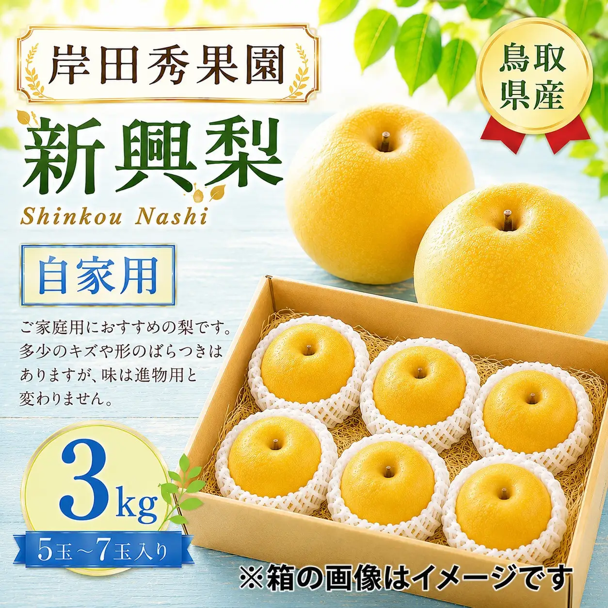 岸田秀果園 新興梨(自家用)3kg 【鳥取県 境港市】
