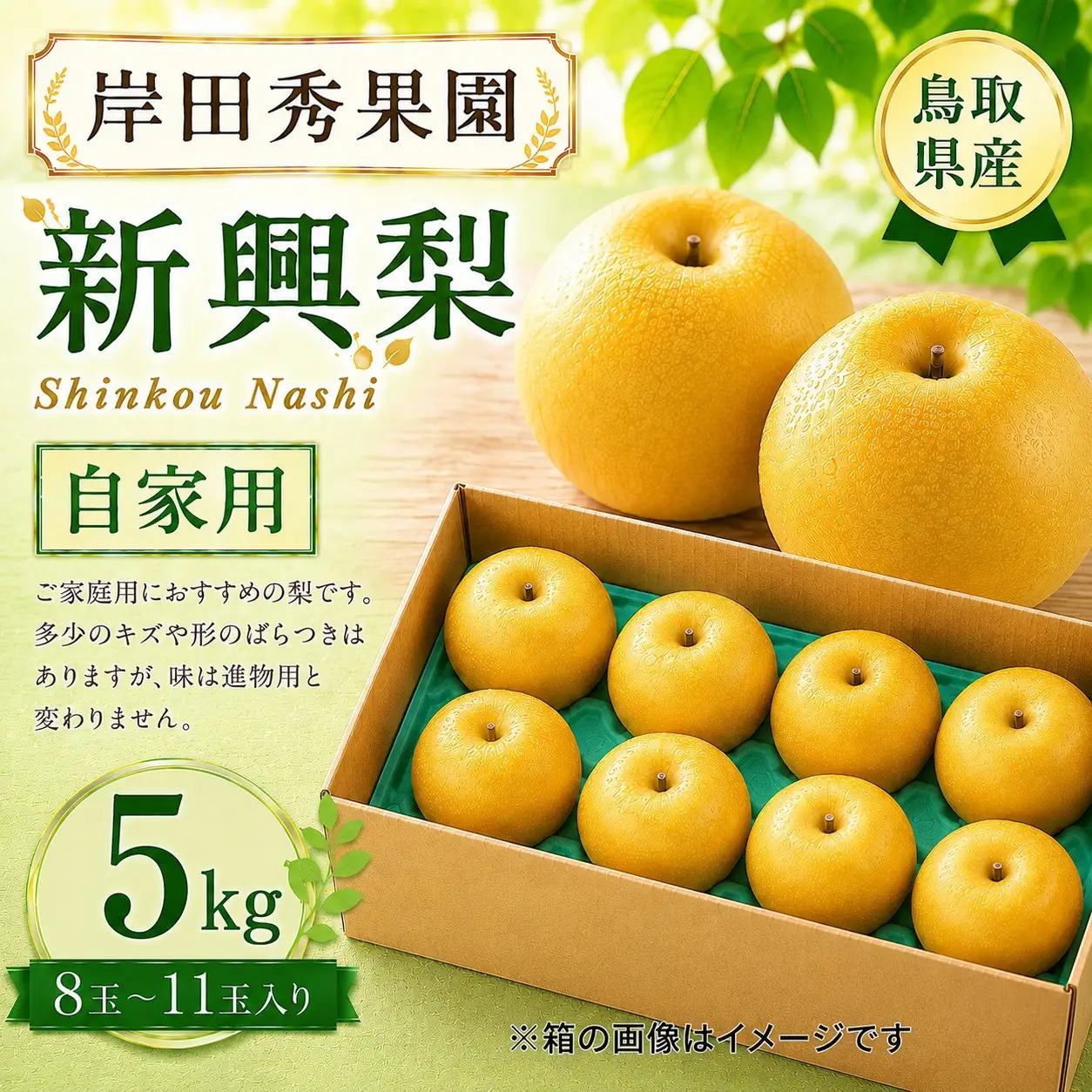 岸田秀果園 新興梨(自家用)5kg 【鳥取県 境港市】