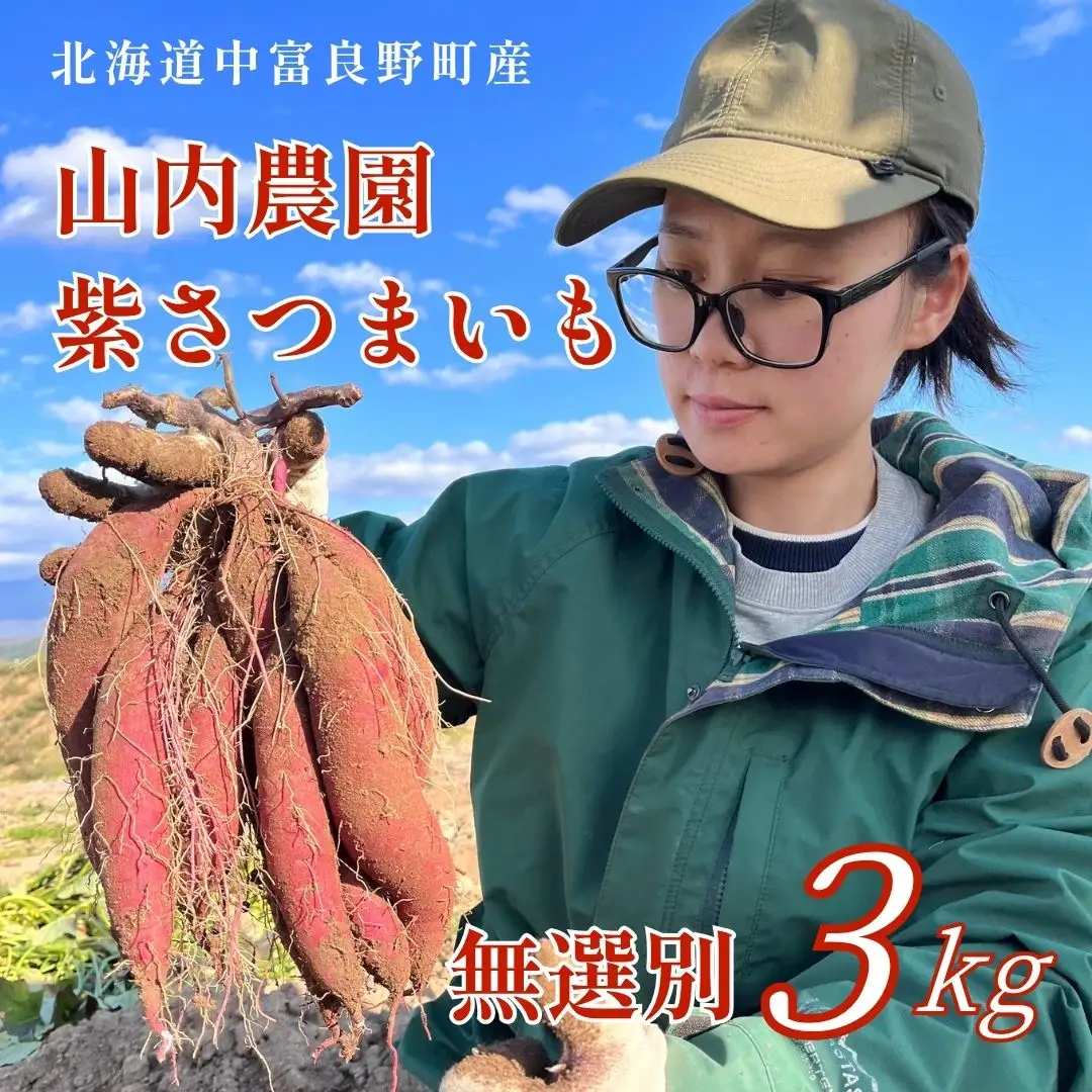 山内農園の無選別紫さつまいも 3kg【AW-022】