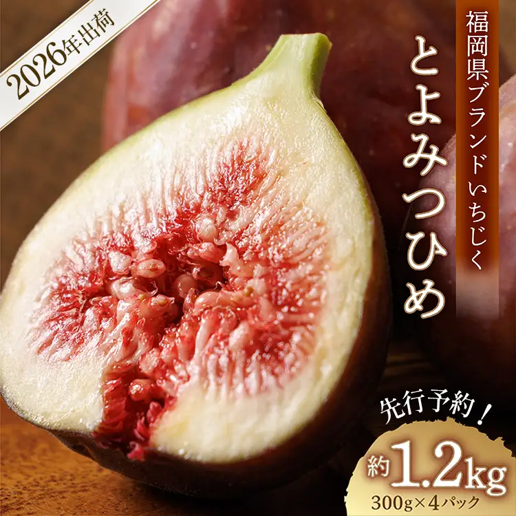 福岡県ブランド いちじく 「とよみつひめ」約1.2ｋｇ(約300ｇ×4パック)  | 無花果 イチジク 美容 ジャム 旬 果物 フルーツ 生 旬 朝ごはん 朝食 デザート お取り寄せ 送料無料 福岡県産 国産 東峰村  3S2-S