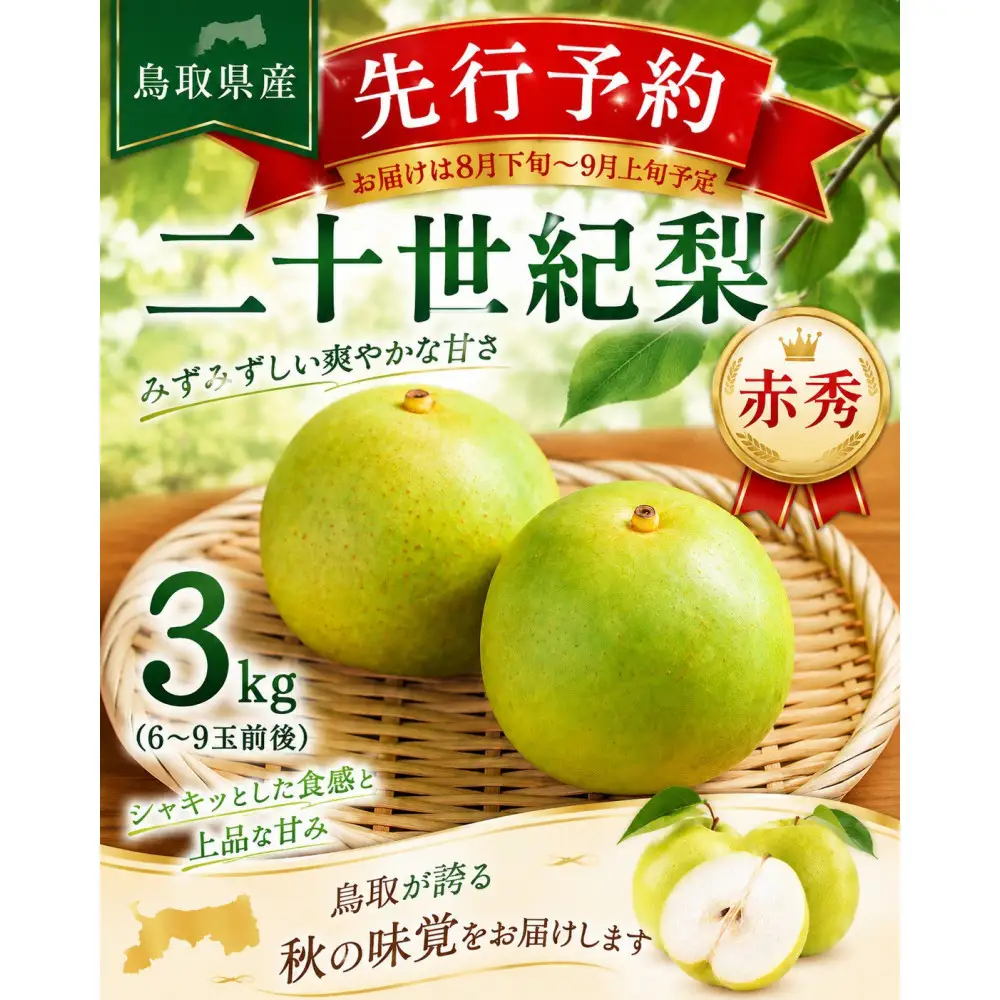 東商果樹園 二十世紀梨(赤秀)3kg 【鳥取県 境港市】