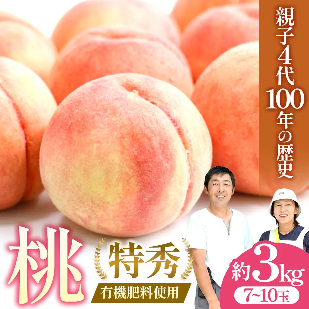  【2026年発送】 青森県産桃 約3kg（7～10玉） 桃