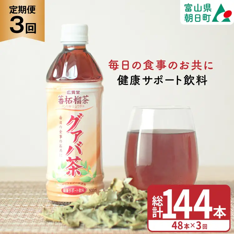 お茶 定期便 グァバ茶 500ml 48本(2ケース) 3回 計144本