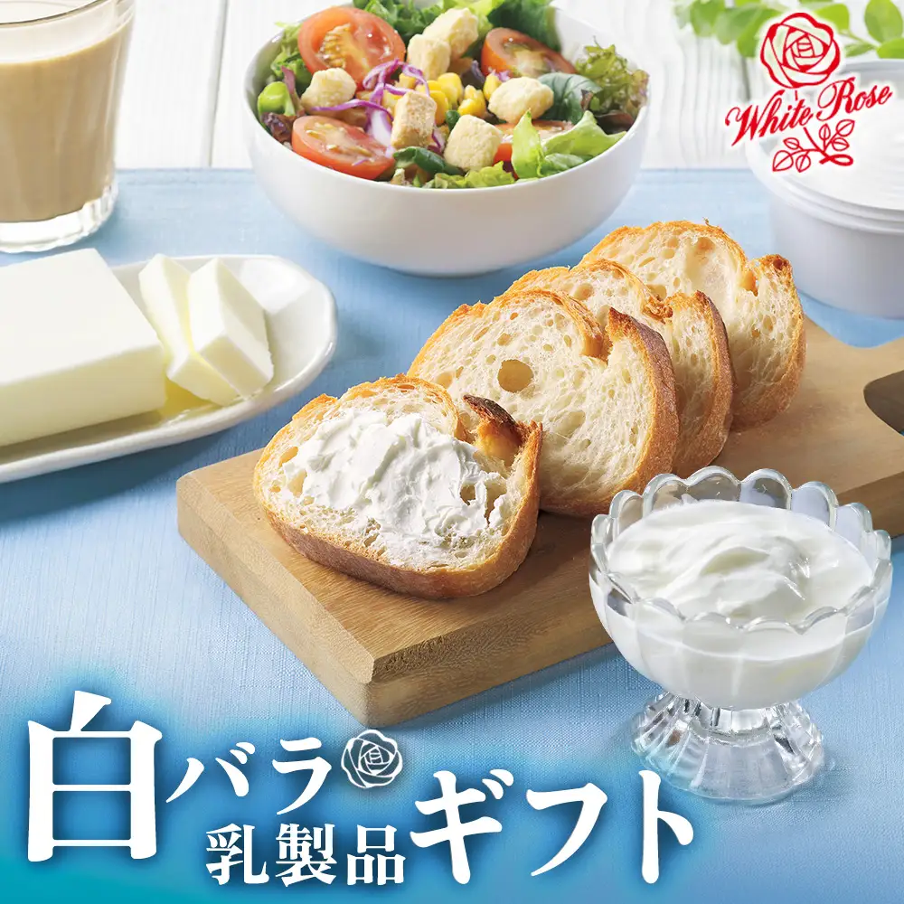 【大山乳業】白バラ乳製品ギフト ヨーグルト チーズ バター 
