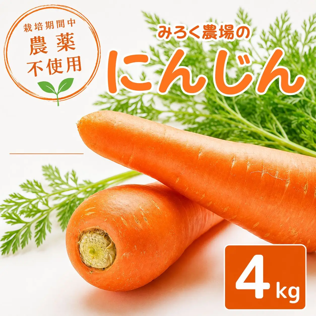にんじん 約4kg 野菜 国産 先行予約