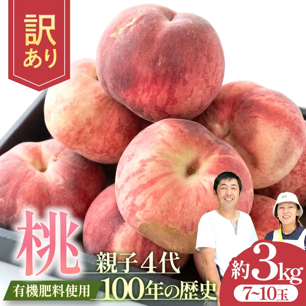 【2026年発送】【訳あり】青森県産桃 約3kg（7~10玉） 桃 
