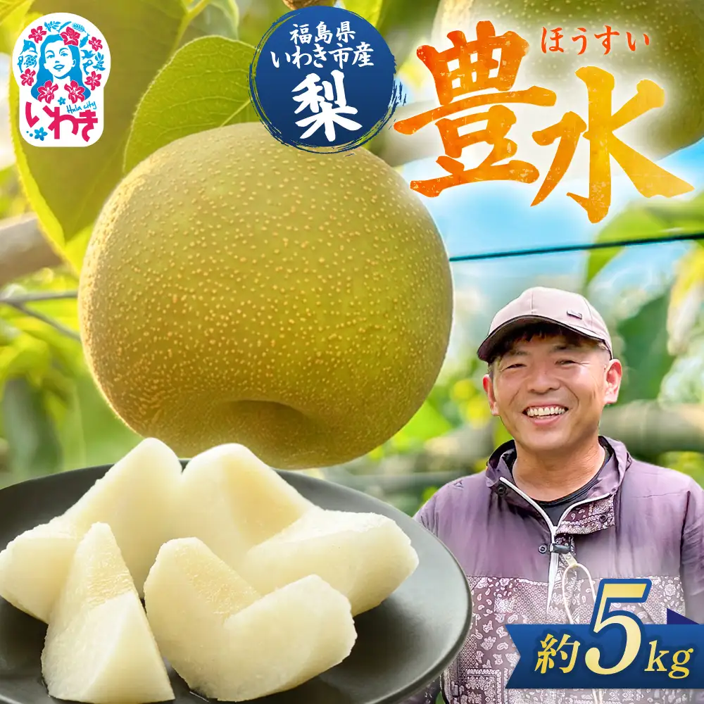 【先行予約】 梨 豊水 約5kg 梨 豊水 長谷川梨園