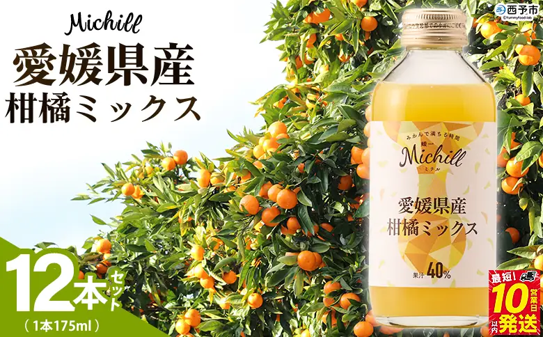 ＜Michill愛媛県産柑橘ミックス 175ml 12本＞『最短10営業日以内に発送予定』愛媛県産 西宇和 ミックスジュース 国産 みかん 蜜柑 ミカン 果汁入り飲料 セット 詰合せ 小林果園 愛媛県 西予市 【常温】OKE0013