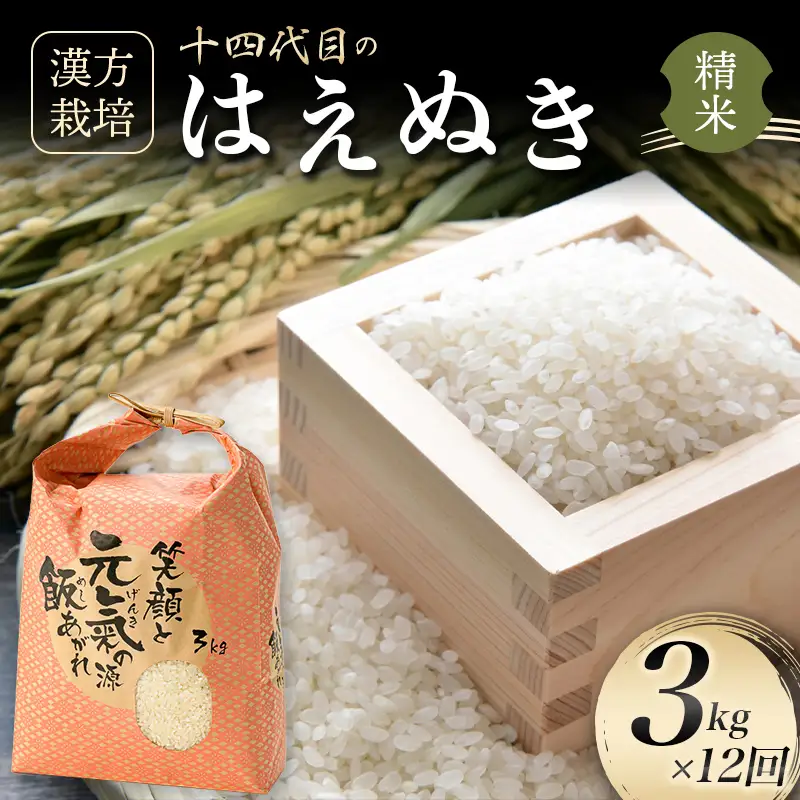 ＜有機JAS認定の漢方活性材で育みました＞【令和8年産米先行予約】（全12回定期便）漢方栽培はえぬき 3kg 米 お米 おこめ 山形県 新庄市 F3S-2847