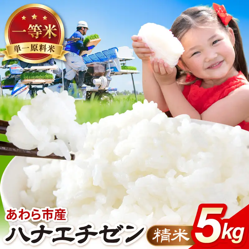 【先行予約】【令和8年産 一等米】ハナエチゼン 精米 5kg（農事組合法人イーノなかのはま100）単一原料米  ※2026年10月より順次発送予定 [aw139-a001]