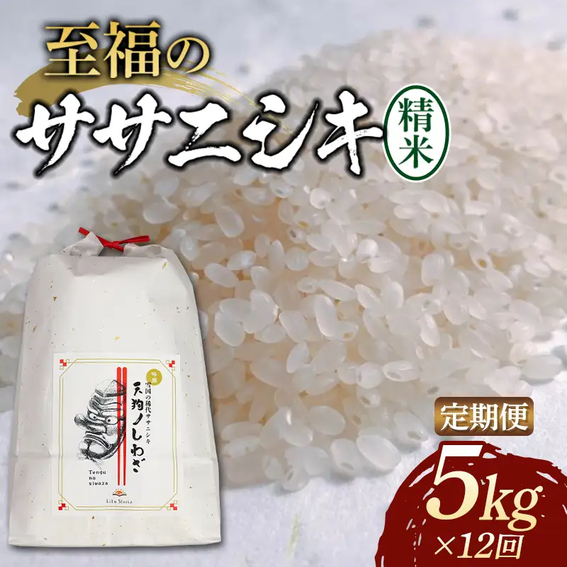【令和8年産米先行予約】（全12回定期便）至福のササニシキ 精米 5kg 米 お米 おこめ 山形県 新庄市 F3S-2851