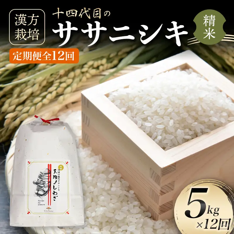 ＜有機JAS認定の漢方活性材で育みました＞【令和8年産米先行予約】（全12回定期便）漢方栽培ササニシキ 5kg 米 お米 おこめ 山形県 新庄市 F3S-2859