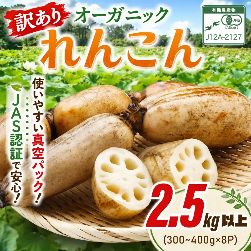 れんこん 訳アリ オーガニック 有機JAS 真空パック 小分け | 【れんこん】HSS008