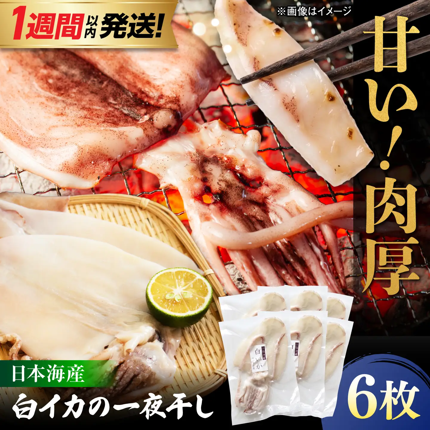【1週間以内発送】イカ 白イカ 一夜干し 6枚セット [ALDB027]