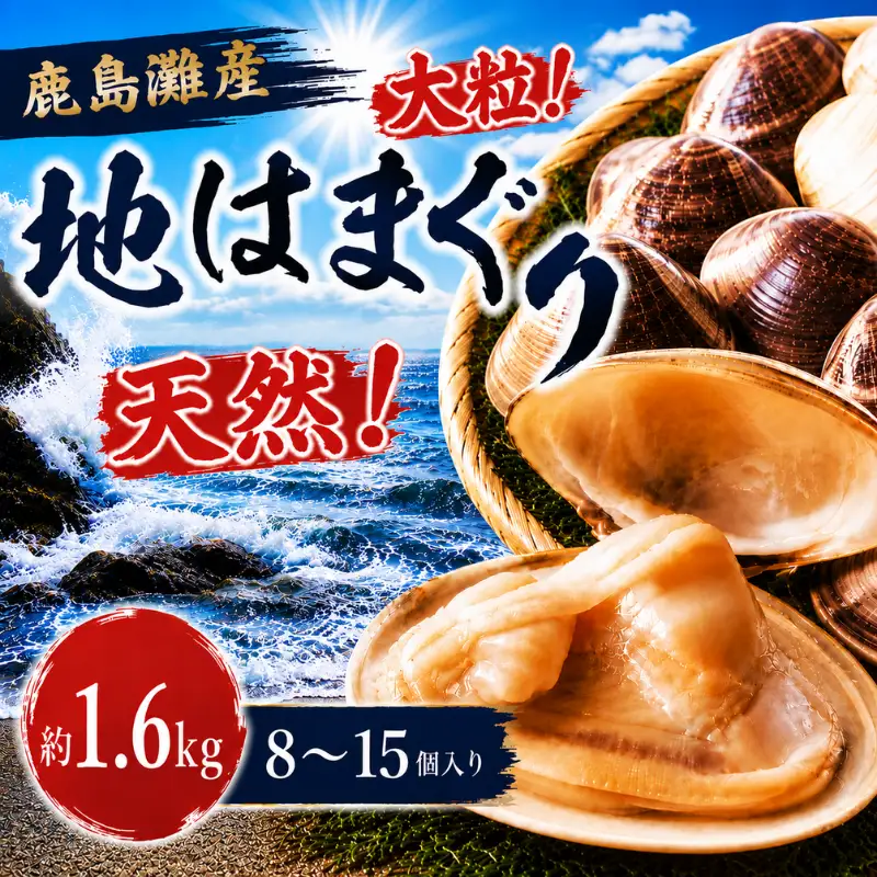 【 はまぐり 】 約1.6kg 8～15個 大粒 はまぐり