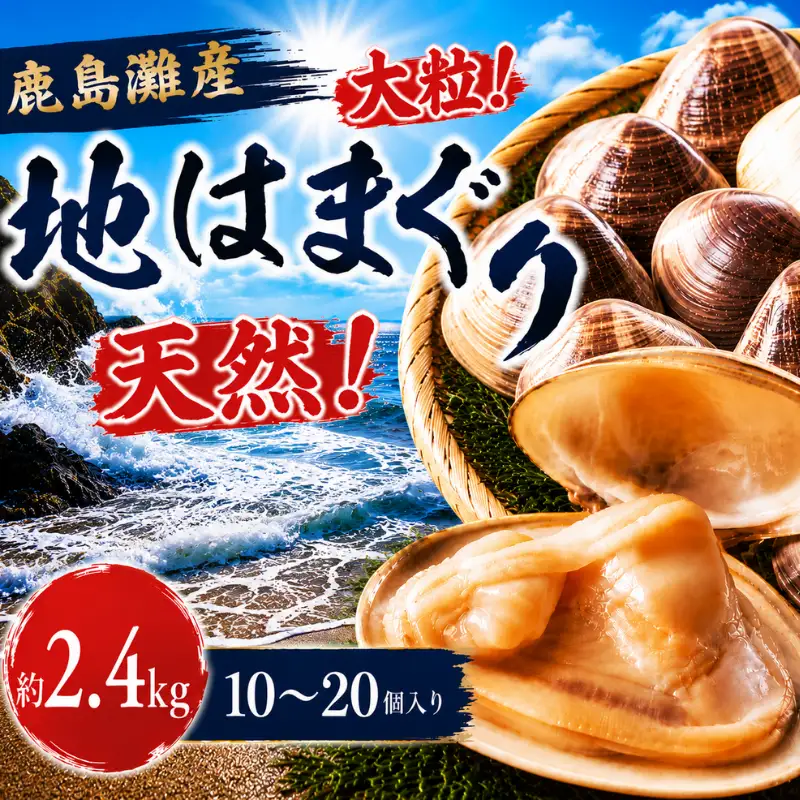 【 はまぐり 】 約2.4kg 10～20個 大粒 はまぐり