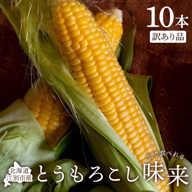 とうもろこし味来 10本入り 訳あり品 生で食べられる トウモロコシ とうきび コーン 新鮮野菜 減農薬栽培 北海道 江別市 EB8-0784