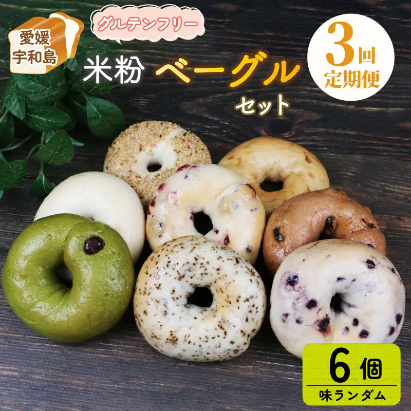 ベーグル 6個 3回 定期便 恵美須町サービスエリア ベーグル J030-165004
