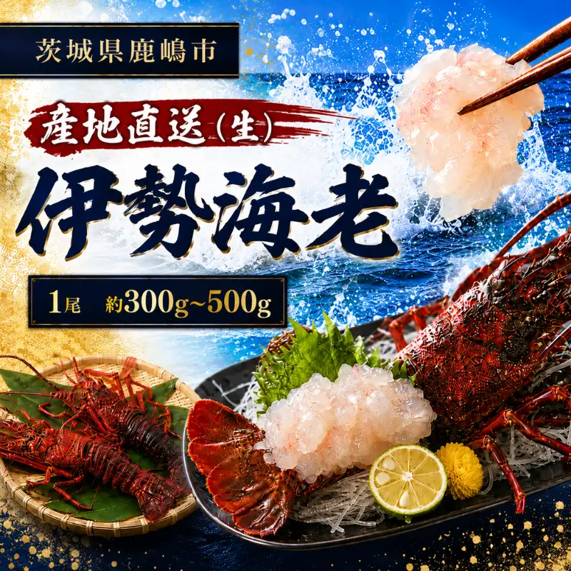 伊勢海老 【生】 冷蔵 約300～500g 1尾 鹿島灘 国産 天然 産地直送 伊勢海老 鹿嶋市
