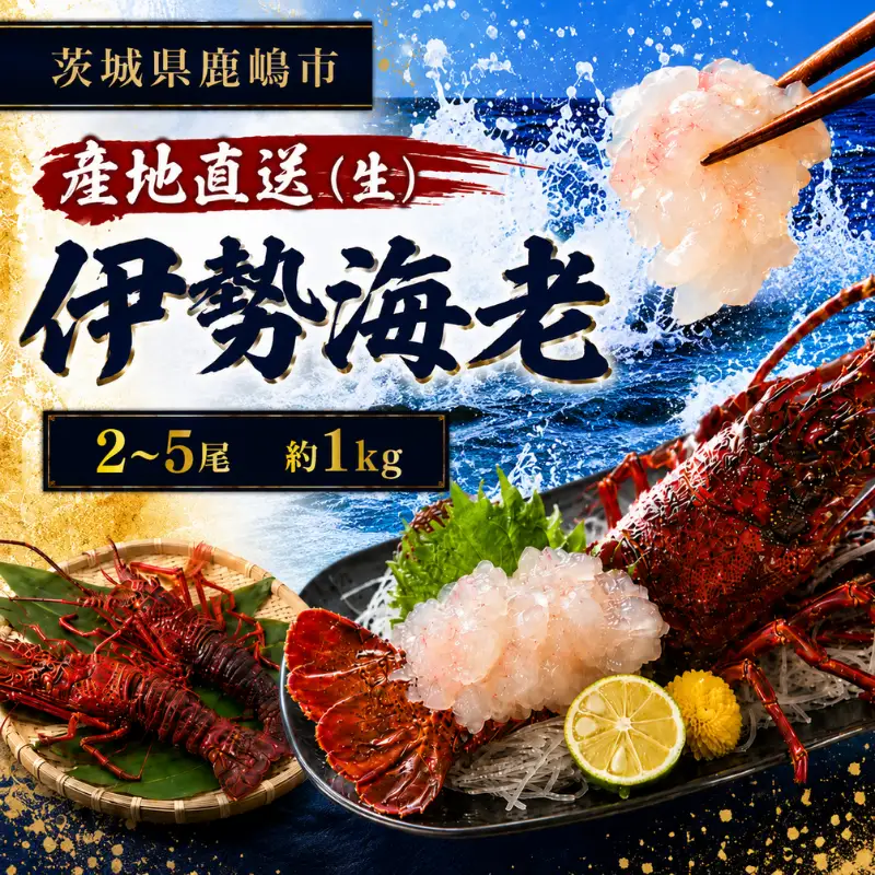 【 伊勢海老 】 約1kg 2～5尾 生 伊勢海老