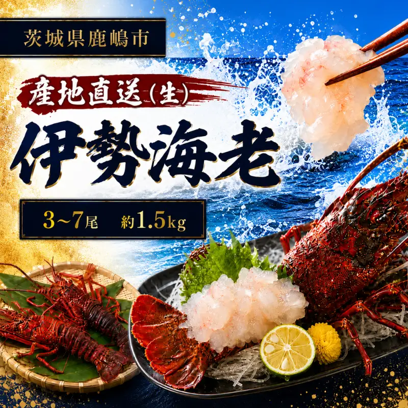 【 伊勢海老 】 約1.5kg 3～7尾 生 伊勢海老