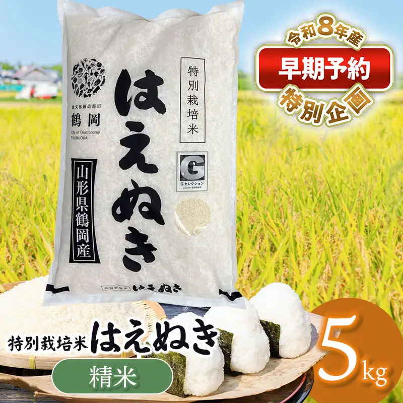 特別栽培米 はえぬき 精米5kg 【令和8年産新米早期予約特別企画】
