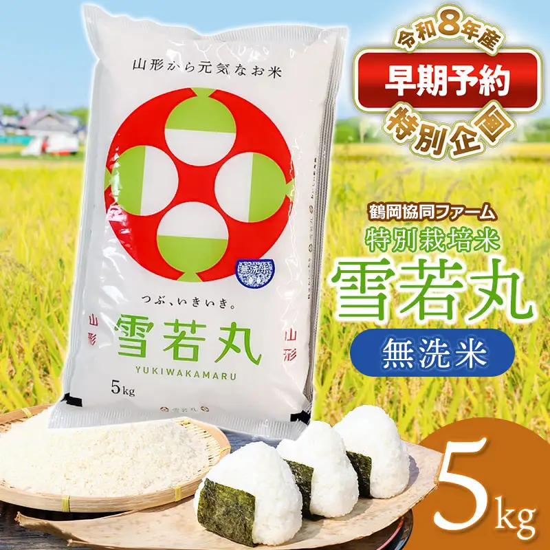 特別栽培米 雪若丸 無洗米 5kg 【令和8年産新米早期予約特別企画】