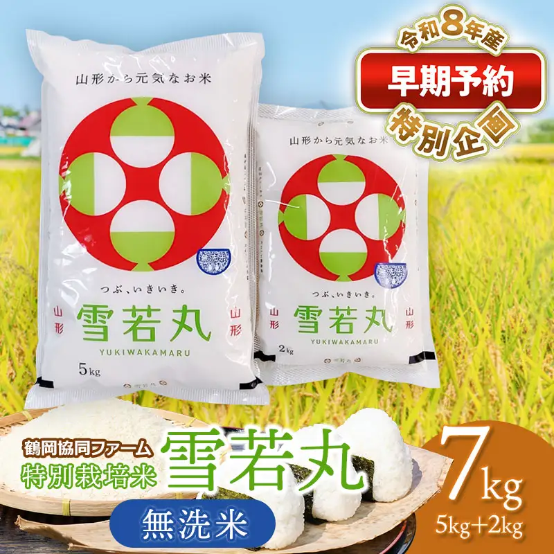 特別栽培米 雪若丸 無洗米 7kg 【令和8年産新米早期予約特別企画】