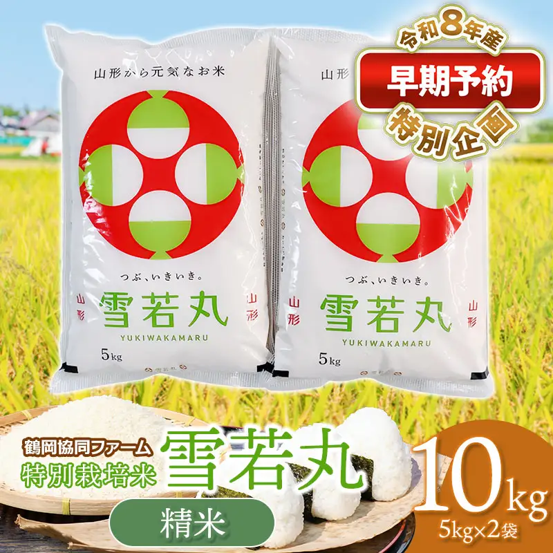特別栽培米 雪若丸 10kg 【令和8年産新米早期予約特別企画】