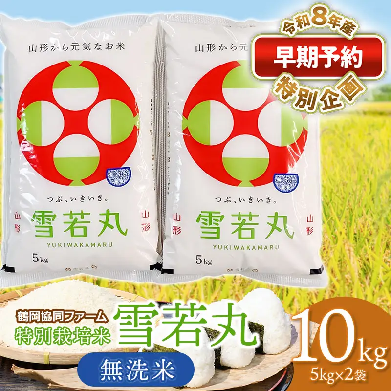 特別栽培米 雪若丸 無洗米 10kg 【令和8年産新米早期予約特別企画】