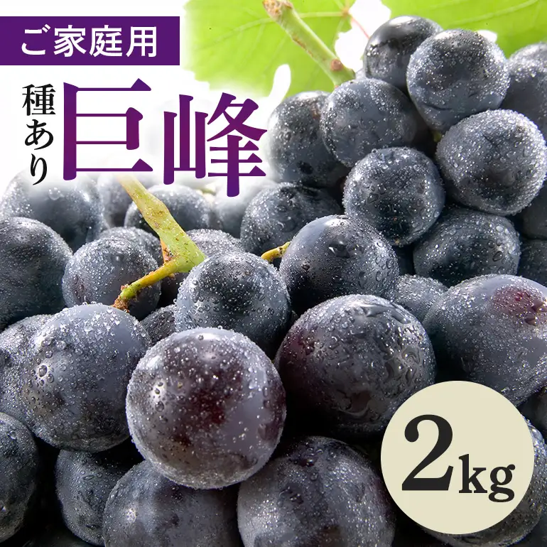 ご家庭用巨峰 2kg ( 種あり ) 鈴木ぶどう園 (A07-007)