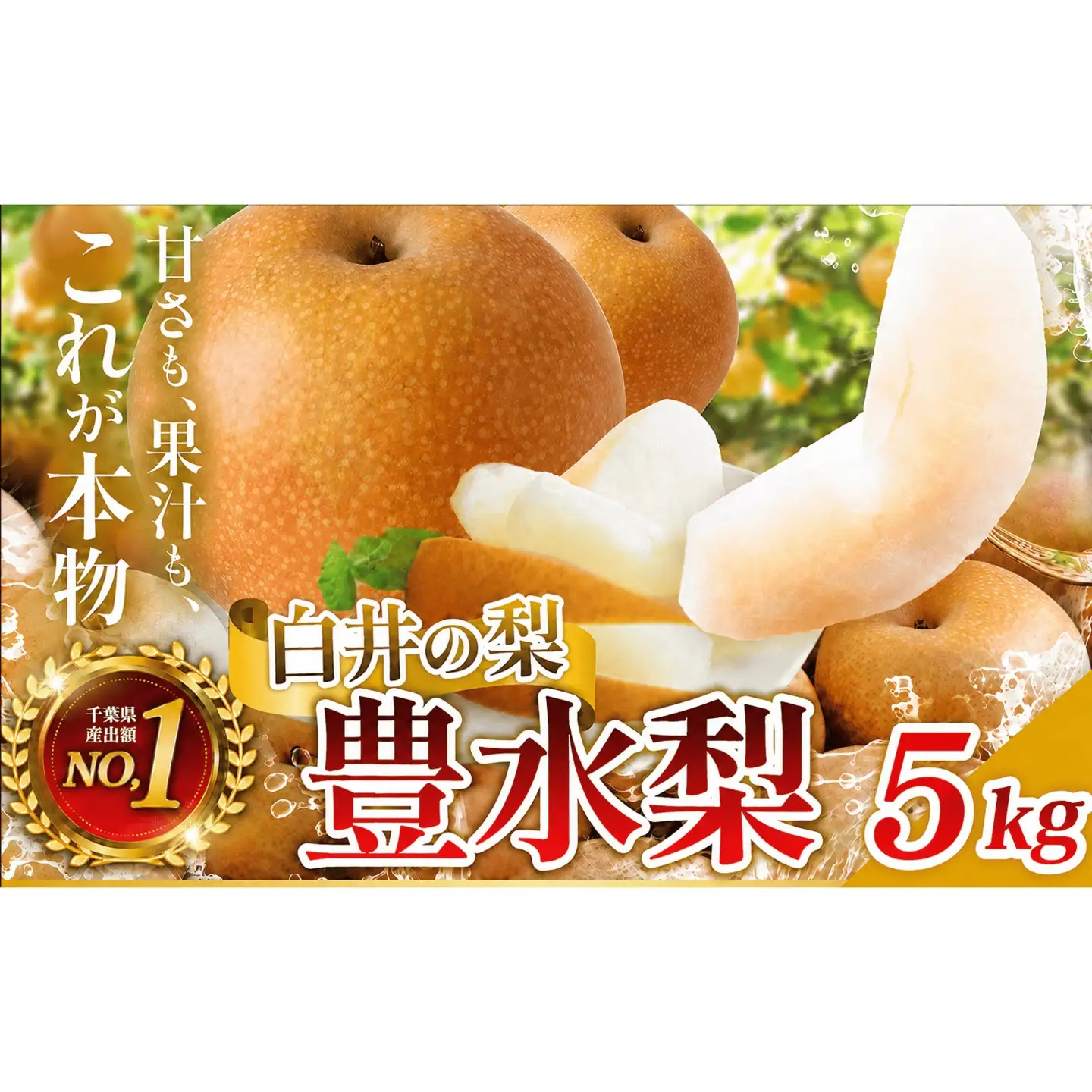 豊水約5kg 12～18玉