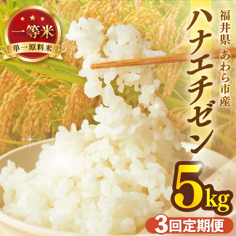 【先行予約】【令和8年産 一等米】定期便 ≪3ヶ月連続お届け≫ ハナエチゼン 精米 5kg（計15kg）（長谷川農園） 単一原料米  ※2026年10月より順次発送予定 [aw139-b002]