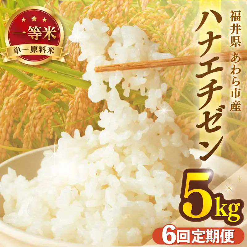 【先行予約】【令和8年産 一等米】定期便 ≪6ヶ月連続お届け≫ ハナエチゼン 精米 5kg（計30kg）（長谷川農園） 単一原料米  ※2026年10月より順次発送予定 [aw139-d004]