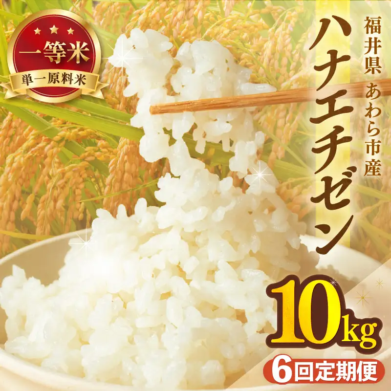 【先行予約】【令和8年産 一等米】定期便 ≪6ヶ月連続お届け≫ ハナエチゼン 精米 10kg（計60kg）（長谷川農園） 単一原料米  ※2026年10月より順次発送予定 [aw139-i003]