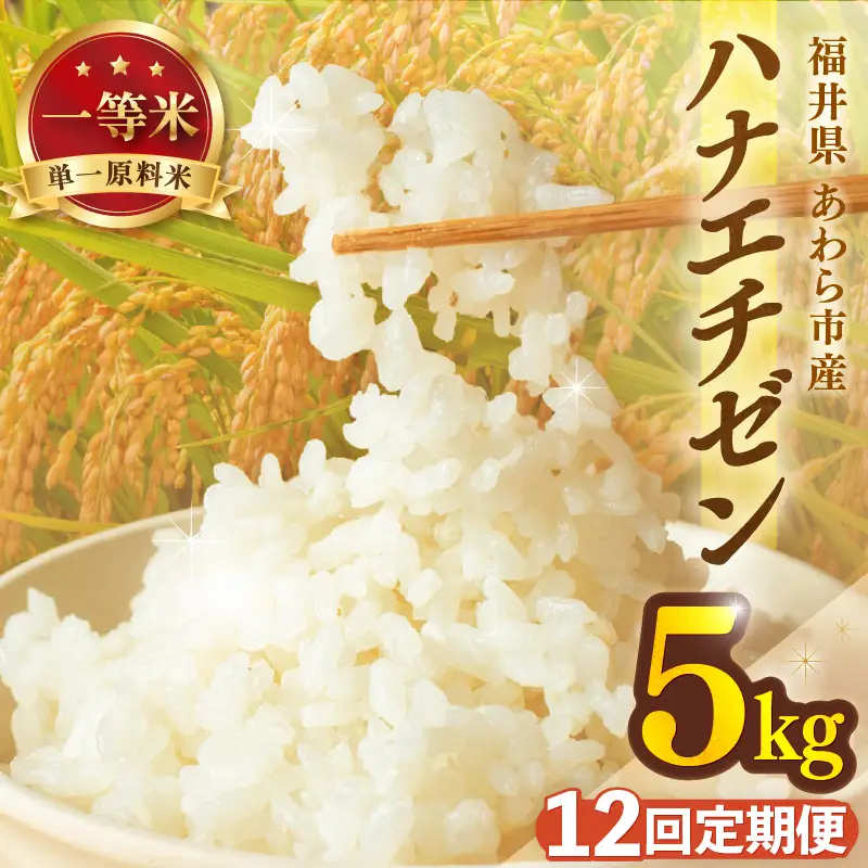 【先行予約】【令和8年産 一等米】定期便 ≪12ヶ月連続お届け≫ ハナエチゼン 精米 5kg（計60kg）（長谷川農園）  単一原料米  ※2026年10月より順次発送予定 [aw139-i004]