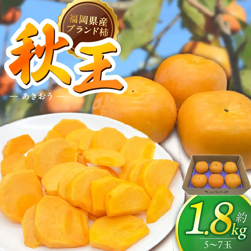 【2026年11月より順次発送】福岡県ブランド柿 秋王 5-7玉 約1.8kg 池尻農園 〔Fk113〕