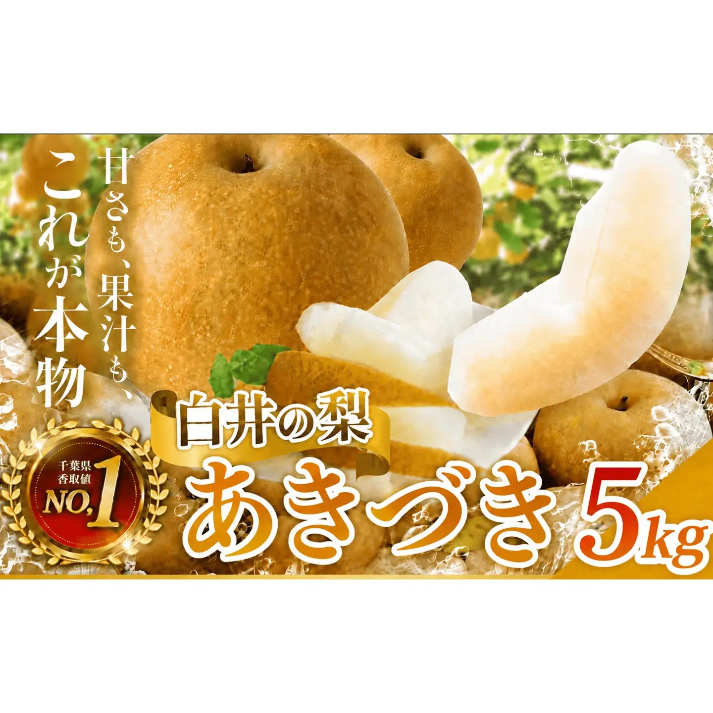 あきづき約5kg12～18玉