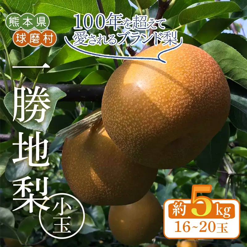 FKP9-721 【先行予約】【訳あり】一勝地梨 小玉 約5kg
