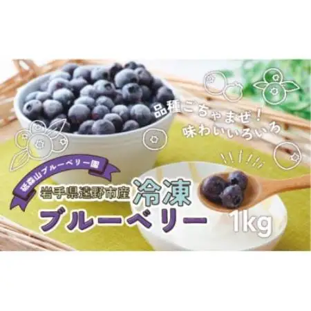 冷凍 ブルーベリー 1kg 岩手県 遠野市 砥森山ブルーベリー園 栽培期間中農薬不使用 遠野食工房蔵【配送不可地域：離島】【1583534】