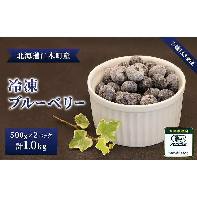 先行受付 【有機JAS認証】北海道仁木町産オーガニック冷凍ブルーベリー 500g×2パック 計1.0kg 果物 フルーツ 冷凍フルーツ 有機栽培 樹上完熟 手摘み トッピング  [株式会社 自然農園]
